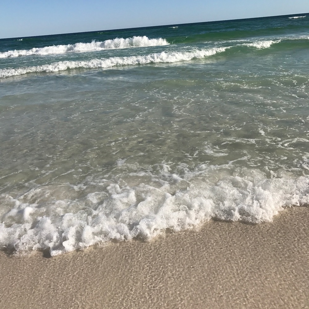 Meet your Posher, Nora